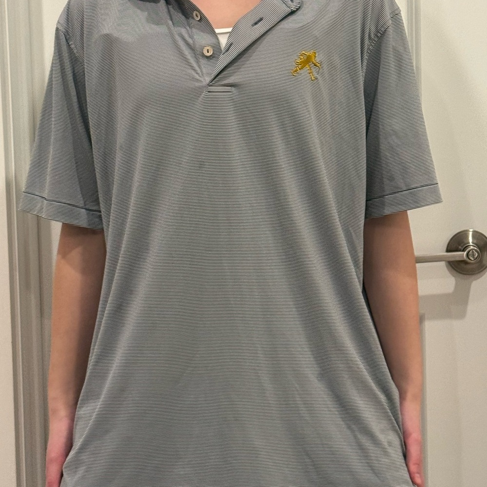 Peter Millar Charcoal Polo with Gold Emblem - Picture 2 of 9